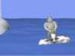 Seal Bounce