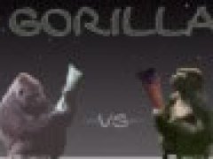 Поединок двух горилл