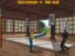 Bushido fighters