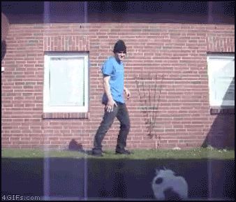 Летающая кошка