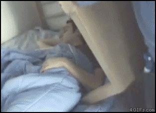 Проснулся под столом