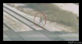 Выжил под поездом