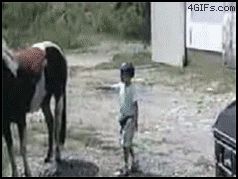 Удар копытом