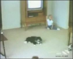 Ленивый кот