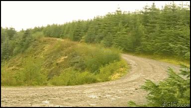 Занос на лесной дороге