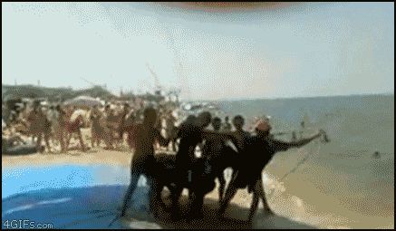 Запуск ослика