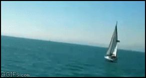 Акула и корабль