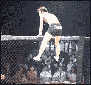 Неожиданный конец бою