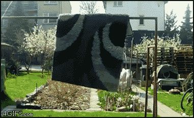 Нинзя в ковре