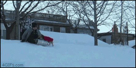 Отняла сани и уехала сама