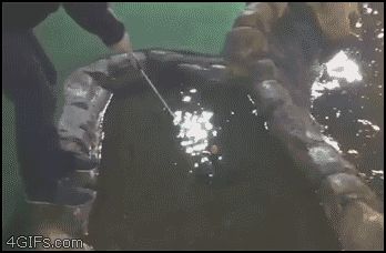 Гольф на воде