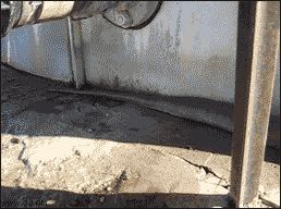 Огромный питон