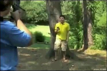 Попадание в яблочко