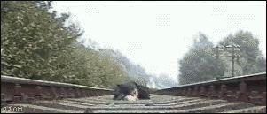 Проверка на храбрость