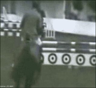 Неповинуемая лошадь