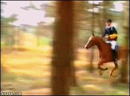 Застрял за дерево