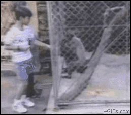Ответ на издевательство