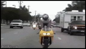 Не устоял на мотоцикле