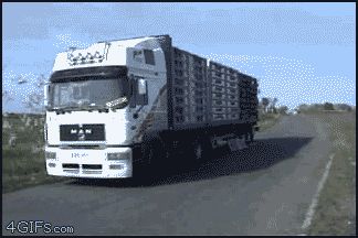 Улетающие птицы