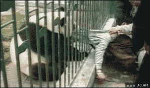 Злая панда