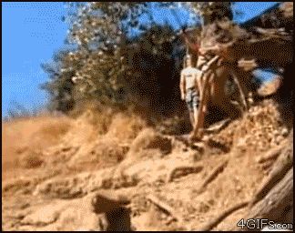 Не долетела до воды
