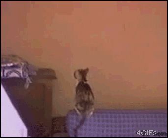 Карабкающаяся ввысь