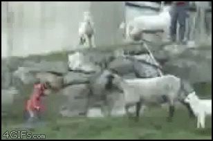 Боднул ребенка