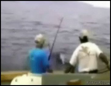 Слишком большая рыба