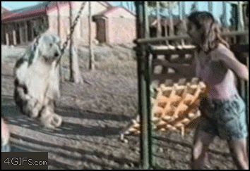 Собачка на качелях