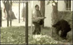 Спрятался за деревом