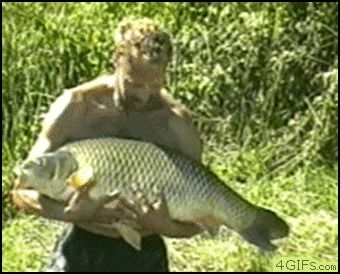Выскользнула на свободу