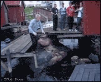 На радость друзьям