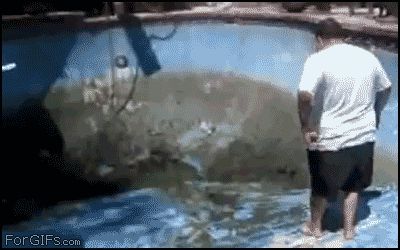 Осторожность не спасла