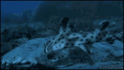 Подводное чудовище