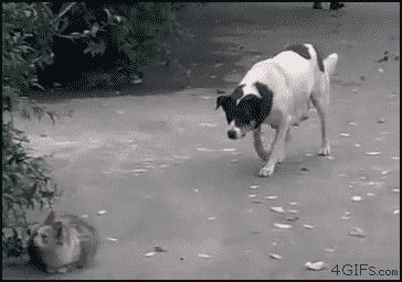 Ответ на неожиданную атаку