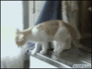Провалилась в ведро