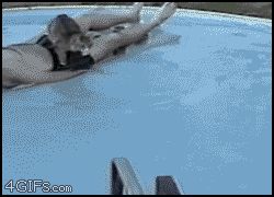 Кошка выпрыгнула из воды