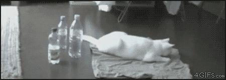 Напугала саму себя
