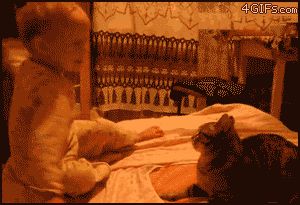 Ответ на грубое обращение