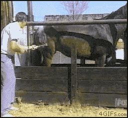 Не стала терпеть
