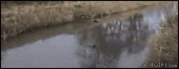 Посадка на льду