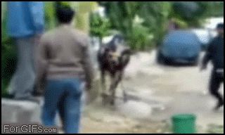 Ударила обеими ногами в лицо