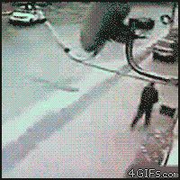 Прохожему повезло