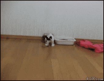 Не любит, когда её снимают
