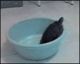 Из одной тюрьмы в другую