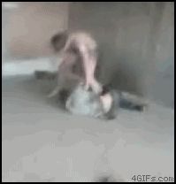Лежачих не бьют