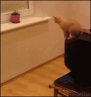 Отскочила от подоконника