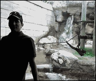 Разыграли обезьянку