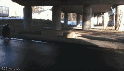Повторил Гомера Симпсона
