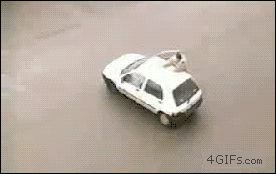 Собака отлично справилась